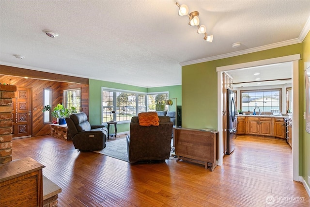 living room with light hardwood / wood-style floors, sink, a textured ceiling, and crown molding