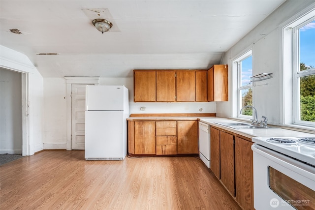 kitchen with light countertops, brown cabinetry, light wood-style floors, a sink, and white appliances