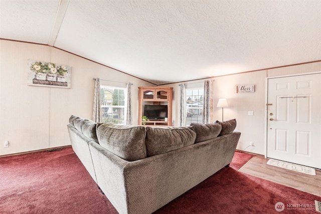 carpeted living room with lofted ceiling, plenty of natural light, and a textured ceiling