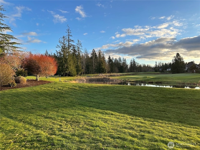 view of property's community featuring a lawn and a water view