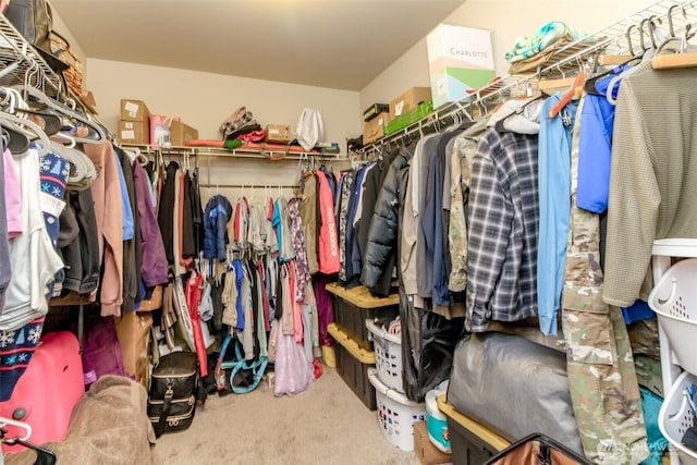 spacious closet featuring carpet floors