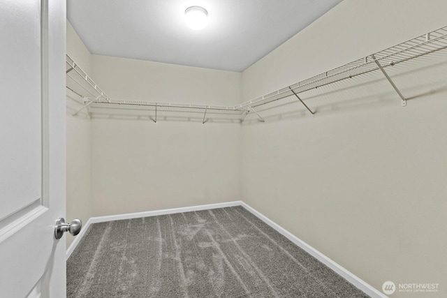 14426 99th Ave SE, Yelm, WA 98597 - walk in closet with carpet floors
