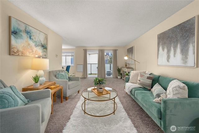 carpeted living area with a textured ceiling