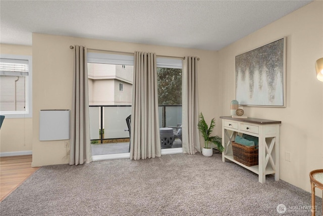 living area with carpet flooring and a textured ceiling