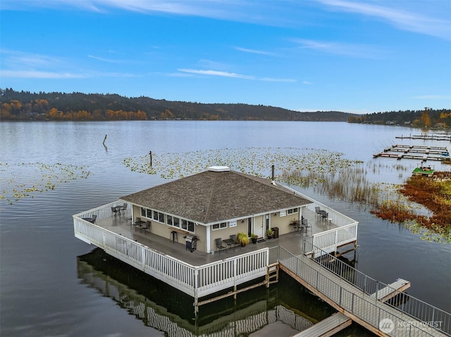 dock area with a water view