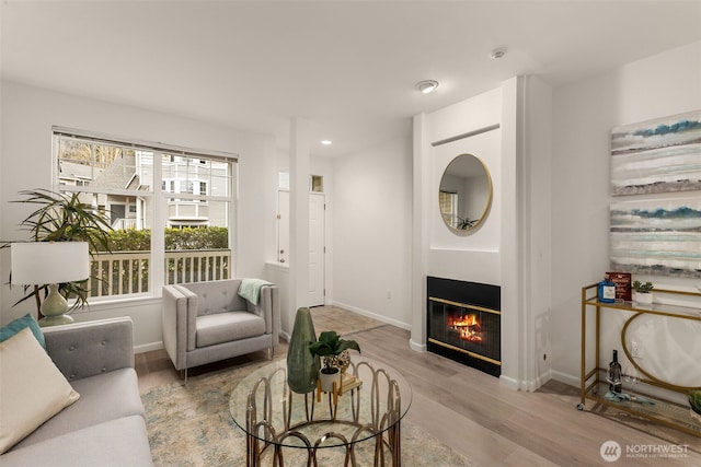 living room featuring light hardwood / wood-style flooring