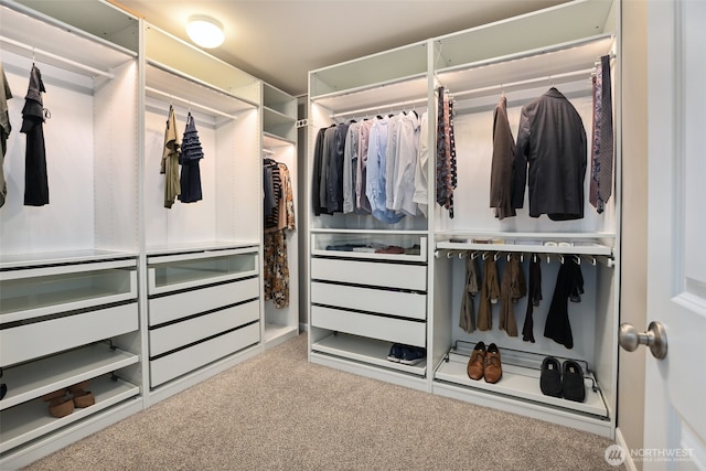 walk in closet featuring carpet