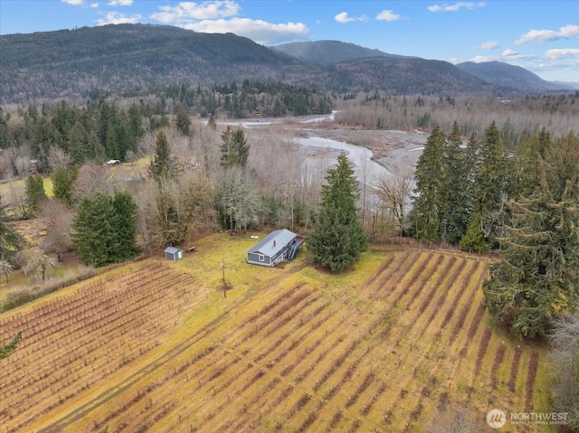 aerial view featuring a mountain view and a rural view