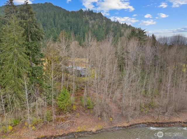 property view of mountains with a water view and a wooded view