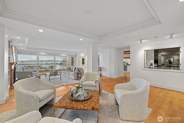 living room featuring crown molding, light hardwood / wood-style floors, and a raised ceiling