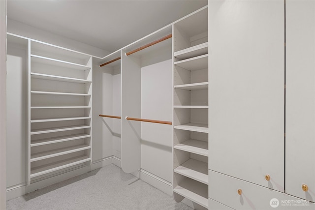 spacious closet featuring light carpet