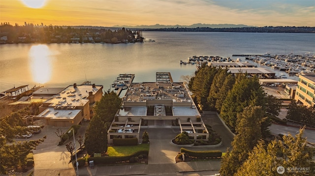 aerial view at dusk with a water view