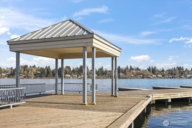 dock area with a water view