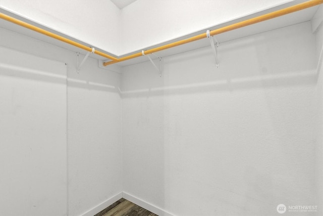 walk in closet featuring wood finished floors