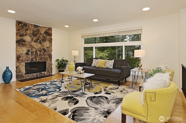 living room featuring a fireplace and wood-type flooring