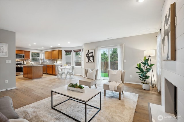 living room featuring light hardwood / wood-style floors and a large fireplace