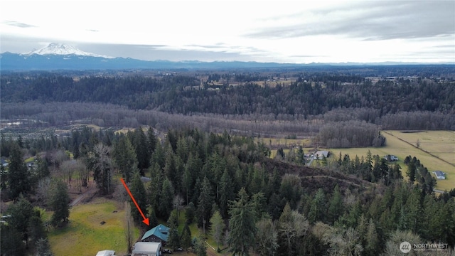 drone / aerial view featuring a mountain view and a forest view