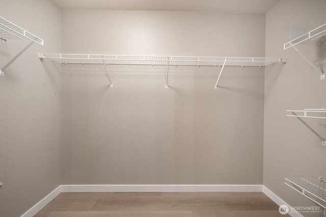 spacious closet with light wood-style flooring