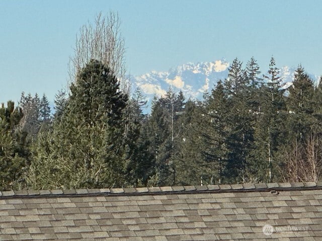 details with roof with shingles and a mountain view