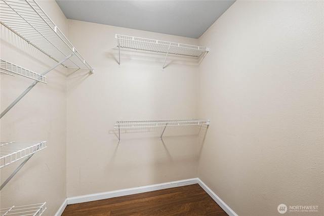 walk in closet with wood-type flooring