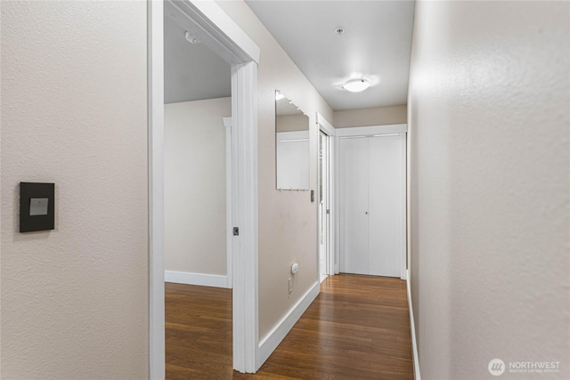 hallway featuring dark wood-type flooring