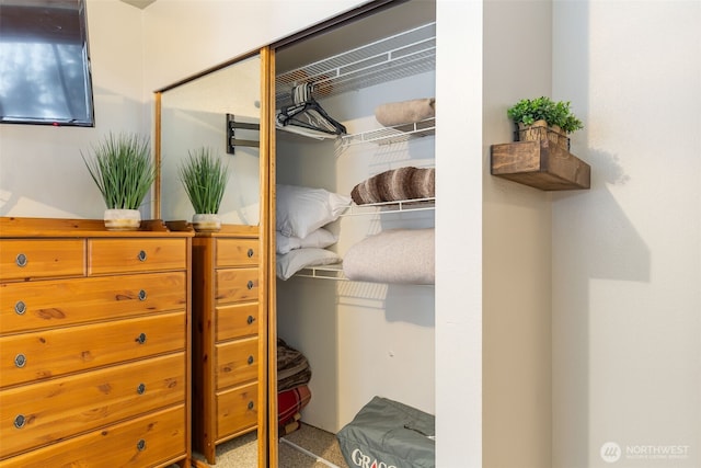 view of closet