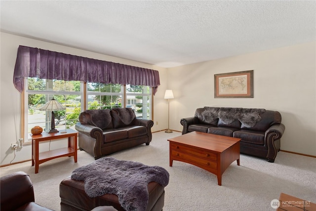 living area with a textured ceiling, light carpet, and baseboards