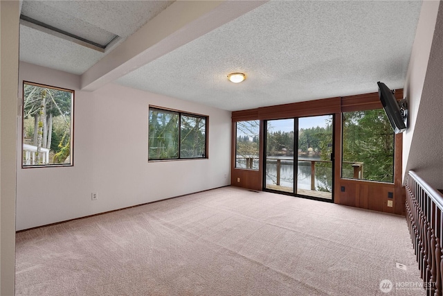 empty room featuring light carpet, a textured ceiling, and baseboards