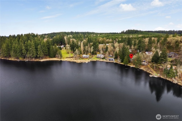 bird's eye view with a water view and a view of trees