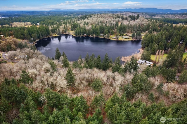 drone / aerial view with a forest view and a water view