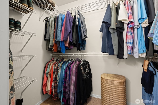 spacious closet with carpet