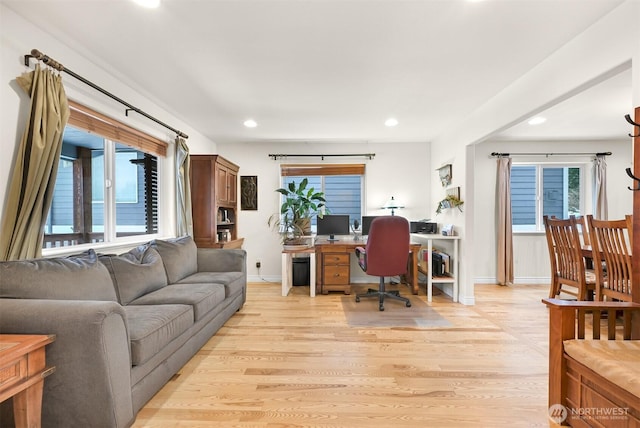 office space featuring light wood-type flooring and a wealth of natural light