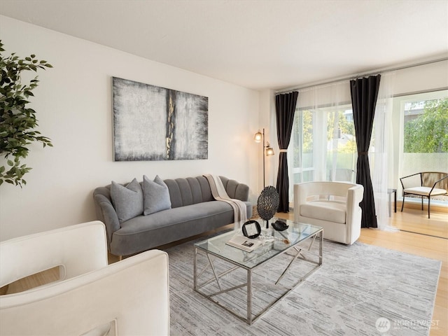 living room featuring light hardwood / wood-style flooring