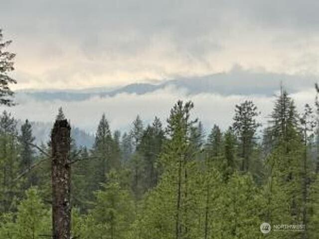 4684 Grouse Creek Rd Lot B, Lot B, Chewelah WA, 99109 land for sale