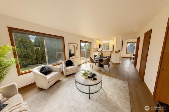 living room with hardwood / wood-style floors