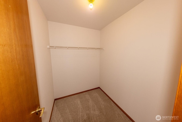 spacious closet with carpet