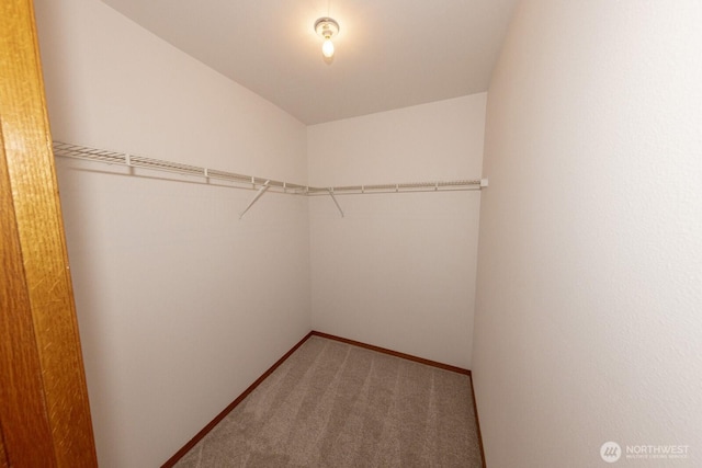 spacious closet with carpet