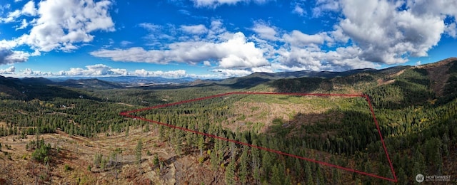 Listing photo 3 for 4684 Grouse Creek Rd Lot A, Lot A, Chewelah WA 99109