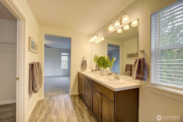 bathroom with double vanity, wood finished floors, baseboards, and a sink