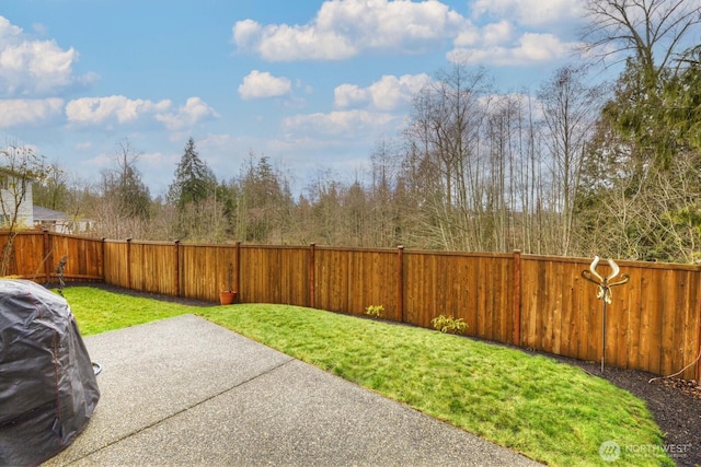 view of yard featuring a patio area and a fenced backyard