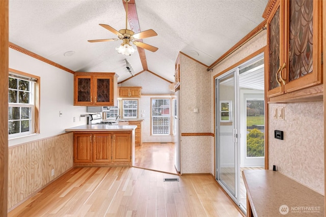 kitchen featuring light wood-type flooring, vaulted ceiling, a textured ceiling, and kitchen peninsula