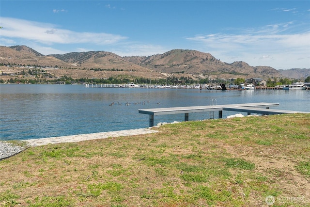 102 Trout Ln, Chelan, WA 98816