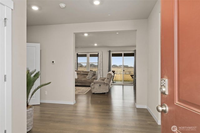 foyer entrance featuring hardwood / wood-style flooring