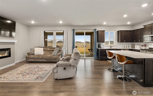 living room with sink and dark wood-type flooring