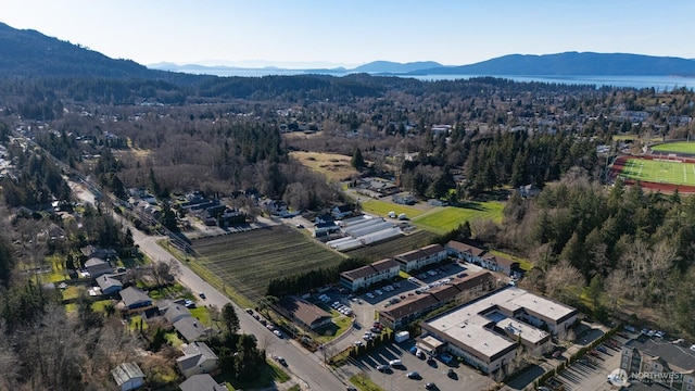 drone / aerial view with a forest view and a mountain view