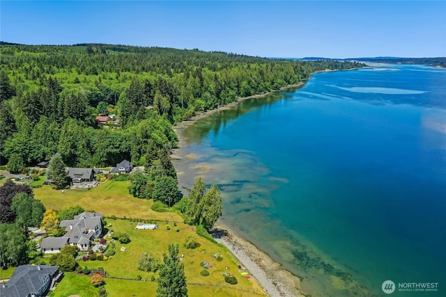 drone / aerial view featuring a water view and a wooded view