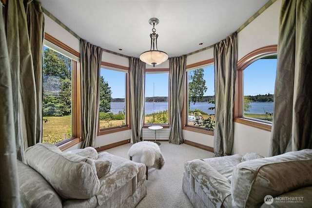 carpeted bedroom with a water view and baseboards