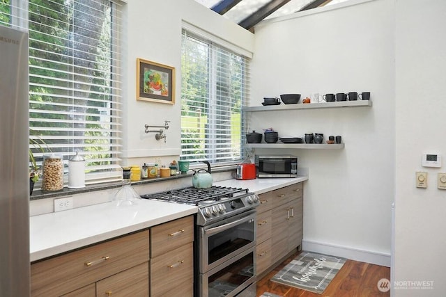 kitchen featuring stainless steel appliances, a wealth of natural light, dark wood finished floors, and baseboards