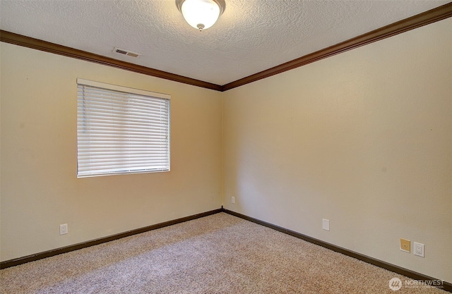 carpeted spare room with crown molding and a textured ceiling