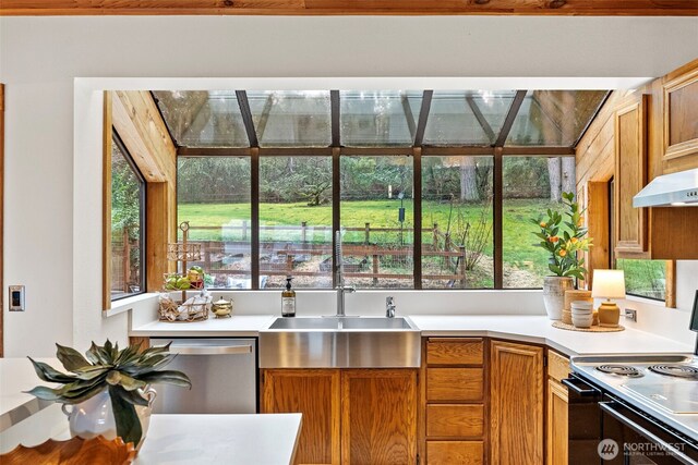 kitchen featuring dishwasher, light countertops, electric range, and a sink